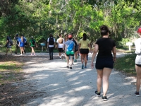 Guided Exploration Hike and BYO Lunch: GTM Reserve